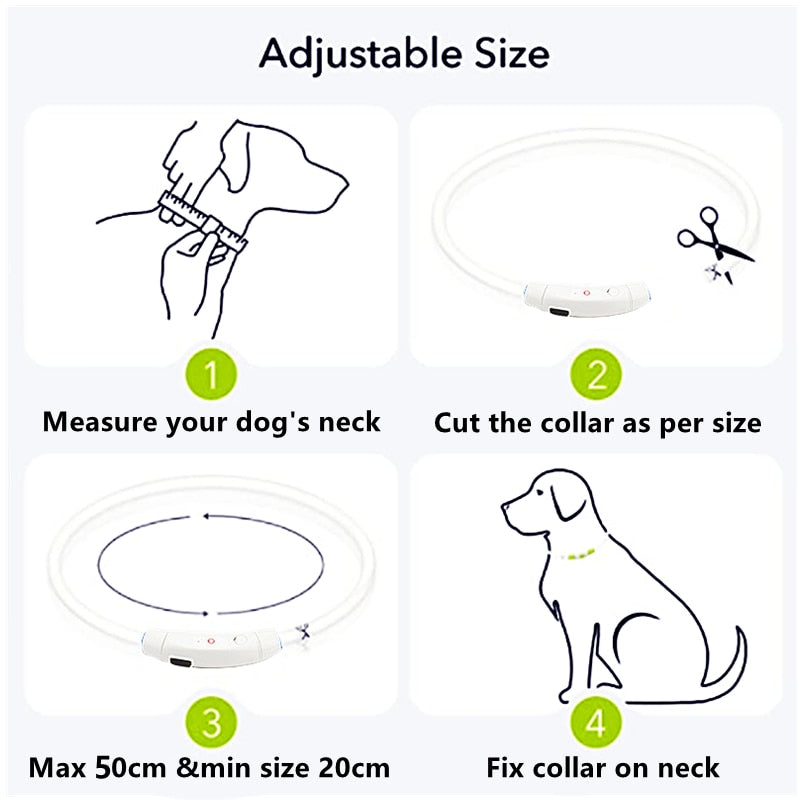 Pets Love - LED Lighted Collar