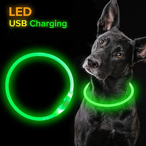 Pets Love - LED Lighted Collar